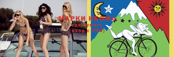 бошки Пересвет