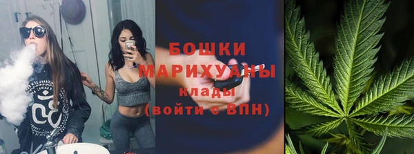 бошки Пересвет