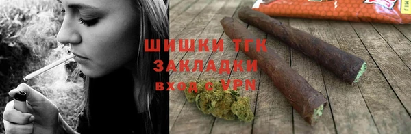 бошки Пересвет