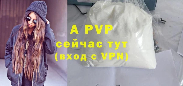 амф Пестово