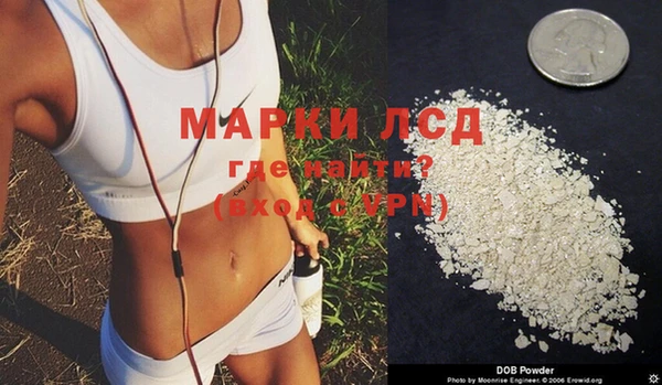 бошки Пересвет