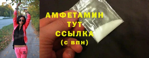амф Пестово