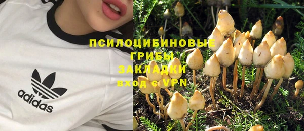 амф Пестово