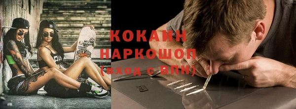 бошки Пересвет